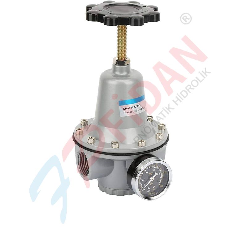 Expflex qty-40 1 1/2 ” pnömatik basinç regülatör