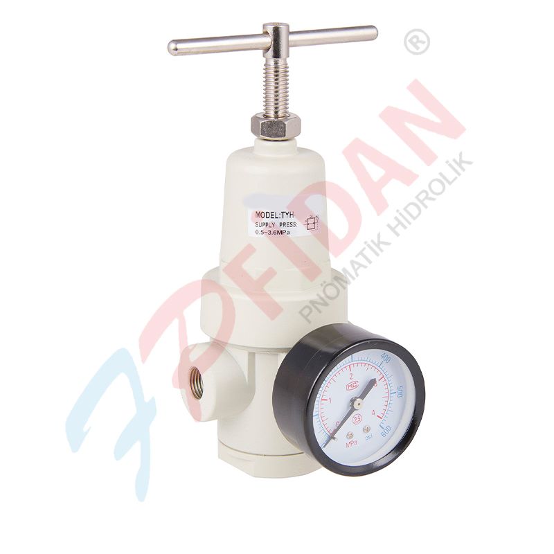 Expflex qtyd-50 2 ” pnömatik basinç regülatör