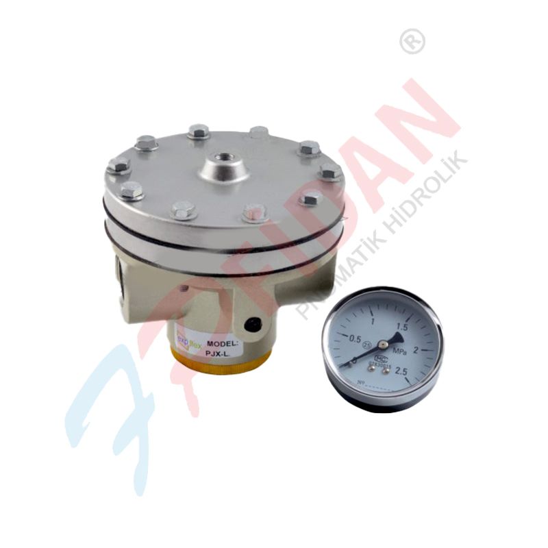 Expflex pjx-l 10 3/8 ” pnömatik pilot uyarili  basinç regülatör