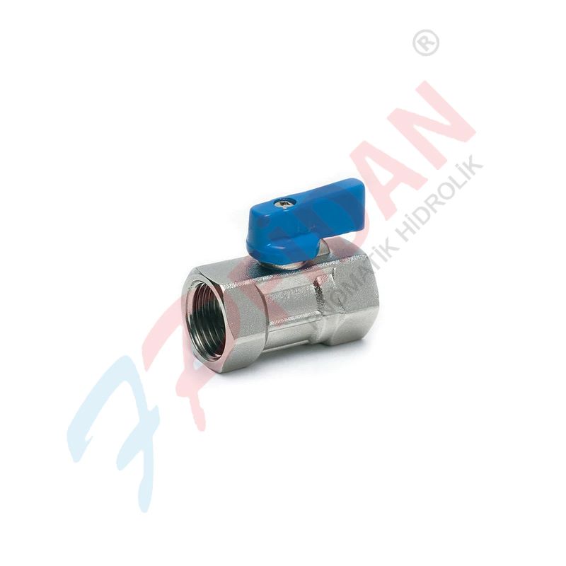 PRİNÇ DİŞİ DİŞİ MİNİ KÜRESEL VANALAR