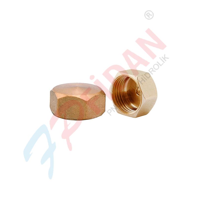 PRİNÇ DİŞİ DİŞLİ TAPALAR